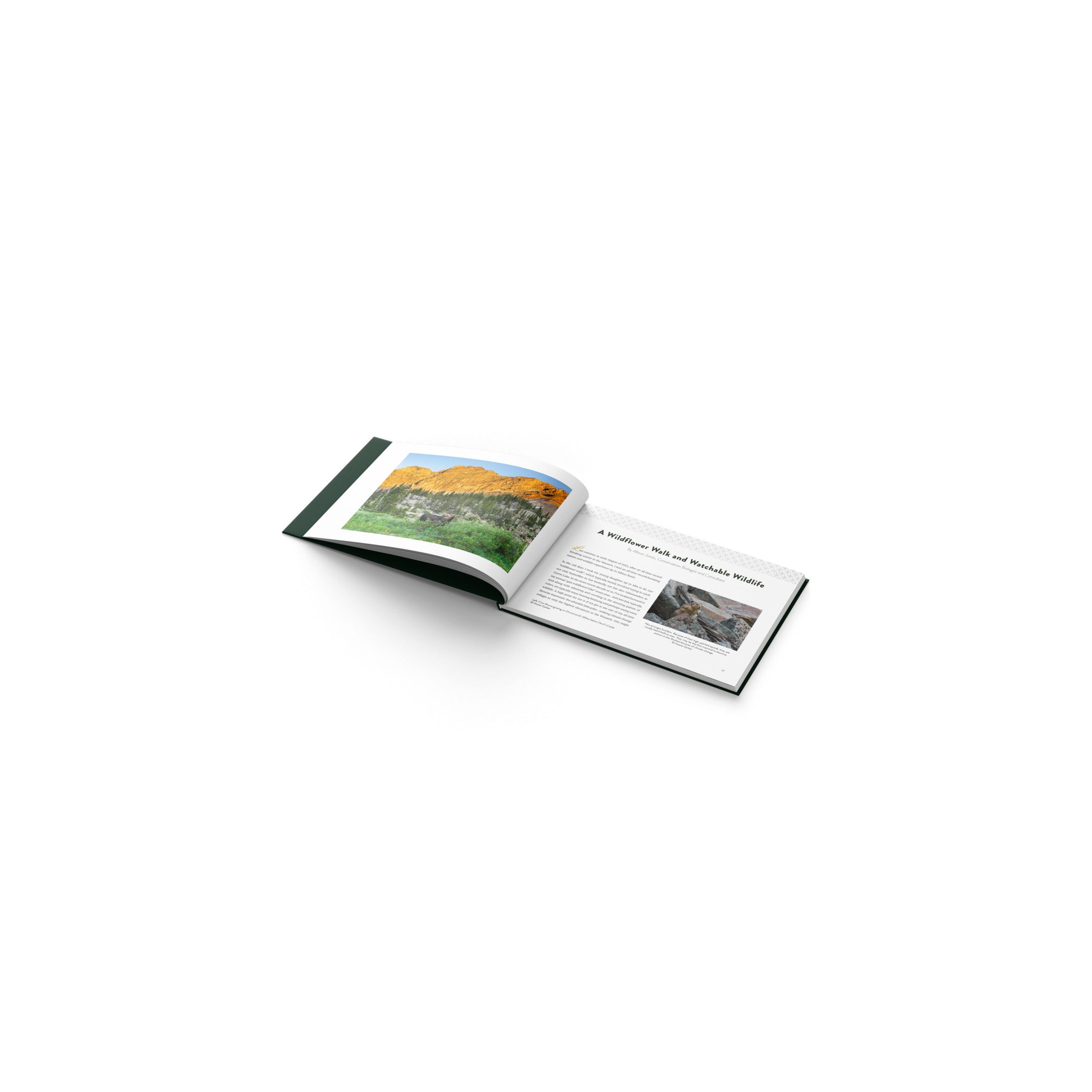 Little Cottonwood Canyon and Alta - Jewel of the Wasatch Mountains Book - Image 3
